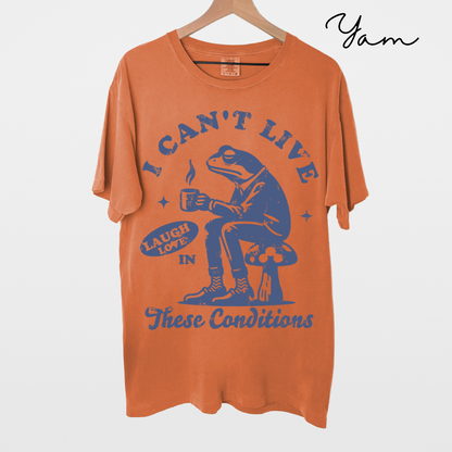 I Can't Live Laugh Love in These Conditions - Funny, Frog Graphic, Garment-Dyed T-shirt